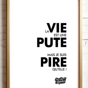 Poster - La vie est une p***
